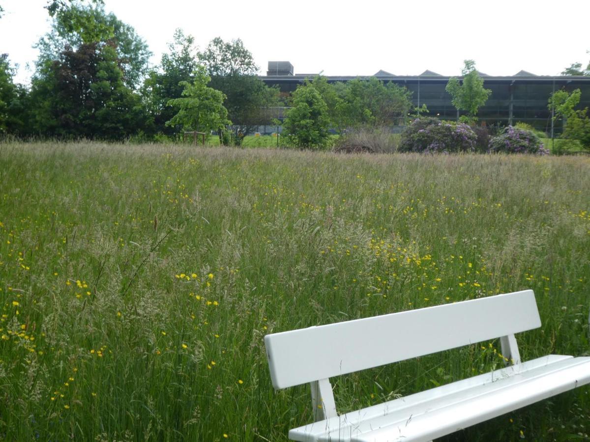באד פירמונט Ferienwohnung Am Hirschpark מראה חיצוני תמונה