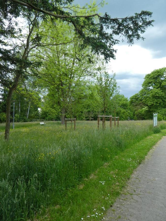 באד פירמונט Ferienwohnung Am Hirschpark מראה חיצוני תמונה